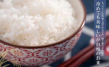 W17-26 令和7年産 研ぐお米 元気つくし10kg