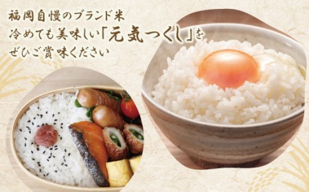 W17-26 令和7年産 研ぐお米 元気つくし10kg