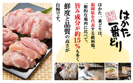 P13-09 はかた一番どり 鶏すきセット 【ARIHI】 【fukuchi00】