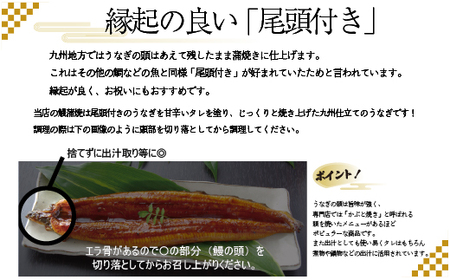 W02-22 老舗たちばな 超特大鰻蒲焼(330g前後)×2尾 【TCBN】 【fukuchi00】