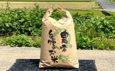 福岡県苅田町白川産 夢つくし・元気つくし 食べ比べ セット 5kg×各1袋 合計10kg お米 精米