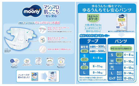 【3ヶ月連続定期便】ムーニーマン 男の子用 ビッグサイズ 38枚×4袋 新技術 赤ちゃん パンツ 