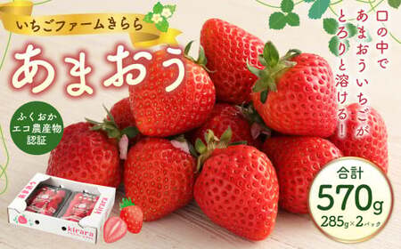 あまおう 約570g 約285g×2パック いちごファームきらら いちご イチゴ 苺【ふくおかエコ農産物認証】【2026年2月上旬から3月下旬発送予定】
