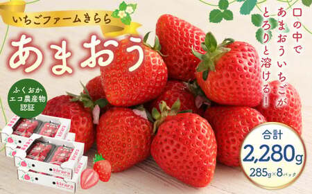 あまおう 約2280g 約285g×8パック いちごファームきらら いちご イチゴ 苺【ふくおかエコ農産物認証】【2026年2月上旬～3月下旬発送予定】