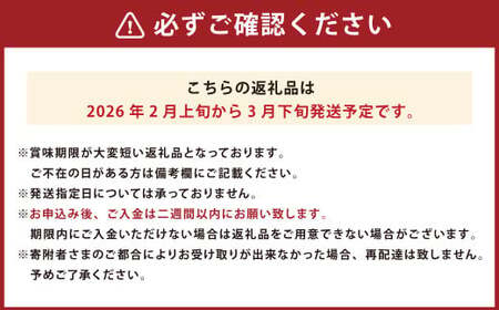 あまおう 約2280g 約285g×8パック いちごファームきらら いちご イチゴ 苺【ふくおかエコ農産物認証】【2026年2月上旬～3月下旬発送予定】