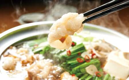 【定期便:年6回】【やまや】博多もつ鍋やまや　もつ鍋セット（醤油味）1-2人前とうちのめんたい300gの博多満喫セット 6回 もつ鍋 モツ鍋 セット ホルモン ちゃんぽん麺 鍋 明太子 めんたいこ 冷凍