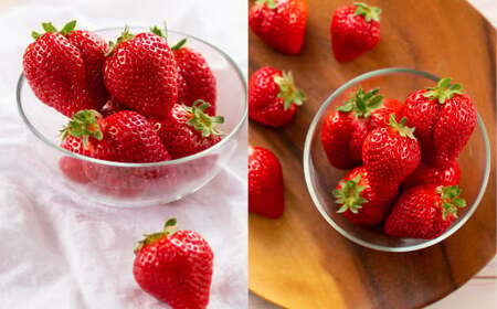 【訳あり】完熟あまおう 4パック いちご 苺 イチゴ フルーツ 果物 くだもの あまおう ギフト 冷蔵 苅田町 【2026年2月上旬-3月上旬発送予定】