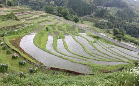 福岡県 苅田町への寄付(返礼品はありません) 1口 5万円