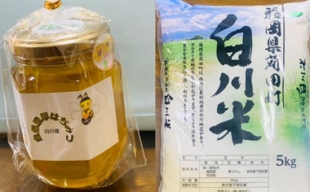 お米 農家 が育てた 白川米 5kg・ 天然 百花 ハチミツ セット お米