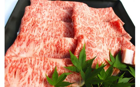 【3ヶ月連続定期便】 博多和牛 食べ比べ セット ロース カルビ モモ 焼肉 ステーキ 和牛 牛 肉 定期