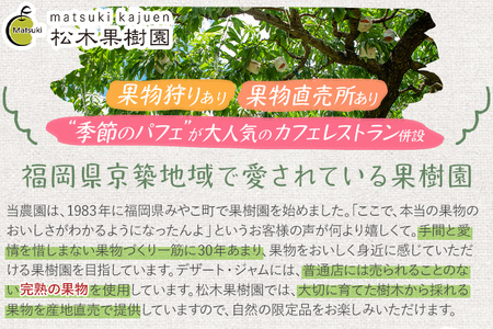 ジャム3本セット≪いちご・なし・もも≫