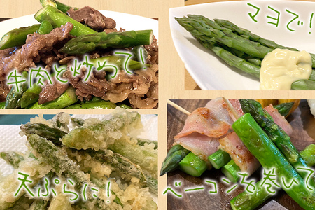 予約受付 アスパラガス 春芽 M～Lサイズ 1kg（500g×2） 2026年3月頃より順次発送  野菜 福岡 九州 グルメ お取り寄せ