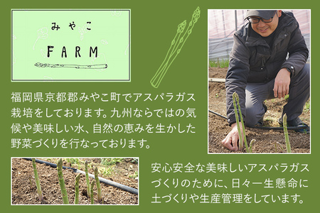 数量限定 アスパラ 夏芽 M~Lサイズ 1kg（500g×2）予約受付 2026年6月～8月頃に順次発送  野菜 農家直送  アスパラガス 福岡 九州 グルメ お取り寄せ