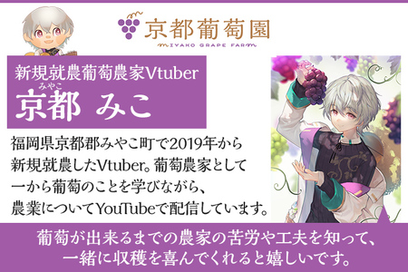【数量限定】予約受付 ぶどう 食べ比べ 3色葡萄房セット(シャインマスカット、ピオーネ、クイーンニーナ) ぶどう フルーツ ブドウ 葡萄 果物 マスカット 赤葡萄 黒葡萄 食べ比べ 1房600g前後 Vtuber ギフト 贈り物 甘い 完熟 3種セット 【9月以降順次出荷】