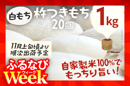 【ふるなびWEEK対象】【年内発送】白もち 杵つきもち 20個 1kg  11月上旬頃より順次出荷予定 自家製米 お正月 ひよくもち米 杵つき 丸餅 お雑煮 おしるこ 焼き餅 焼きもち ぜんざい 福岡県 福岡 九州 グルメ お取り寄せ FN-Limited-PR