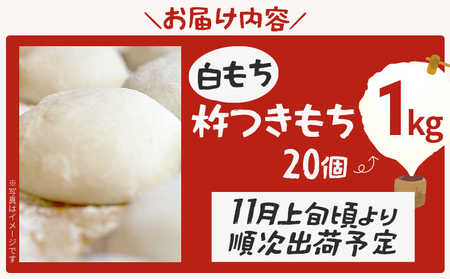 【ふるなびWEEK対象】【年内発送】白もち 杵つきもち 20個 1kg  11月上旬頃より順次出荷予定 自家製米 お正月 ひよくもち米 杵つき 丸餅 お雑煮 おしるこ 焼き餅 焼きもち ぜんざい 福岡県 福岡 九州 グルメ お取り寄せ FN-Limited-PR