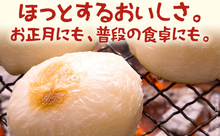 【ふるなびWEEK対象】【年内発送】白もち 杵つきもち 20個 1kg  11月上旬頃より順次出荷予定 自家製米 お正月 ひよくもち米 杵つき 丸餅 お雑煮 おしるこ 焼き餅 焼きもち ぜんざい 福岡県 福岡 九州 グルメ お取り寄せ FN-Limited-PR