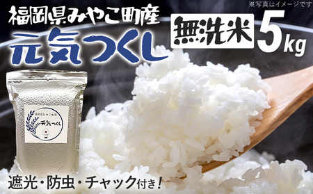 米 元気つくし (無洗米) 5kg 新米予約 福岡県 みやこ町産 チャック付き 防虫 ごはん おにぎり おやつ 福岡県 福岡 九州 グルメ お取り寄せ