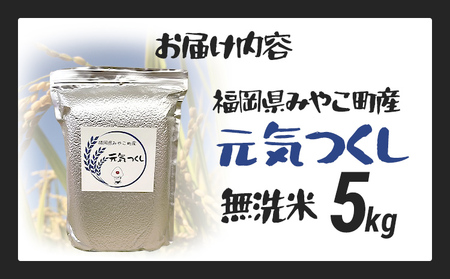 米 元気つくし (無洗米) 5kg 新米予約 福岡県 みやこ町産 チャック付き 防虫 ごはん おにぎり おやつ 福岡県 福岡 九州 グルメ お取り寄せ