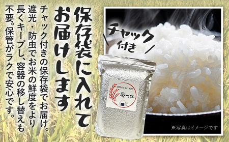 定期便 米 3回 令和７年産 無洗米 選べる 元気つくし 5kg 定期便 福岡県 みやこ町産 チャック付き 防虫 ごはん おにぎり
