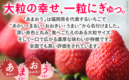 あまおう いちご 大容量 1.5kg 250g×6パック 苺 フルーツ 果物 福岡 九州 グルメ お取り寄せ 3月上旬~4月上旬頃出荷予定