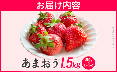 あまおう いちご 大容量 1.5kg 250g×6パック 苺 フルーツ 果物 福岡 九州 グルメ お取り寄せ 3月上旬~4月上旬頃出荷予定
