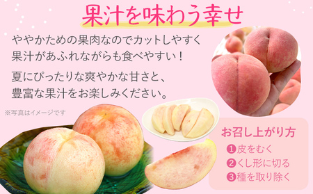 先行予約 期間限定 桃 あかつき 約2kg(7~8玉) 農家直送 樹上完熟 完熟 果汁 もも モモ 果物 フルーツ 甘い ジューシー 福岡県 福岡 九州 グルメ お取り寄せ 【7月上旬頃より順次出荷予定】