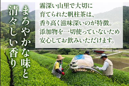 ＜銘茶みやこ町特産・帆柱茶＞煎茶（200g×3袋）福岡県 お茶 日本茶 緑茶 お土産 伝統 茶葉
