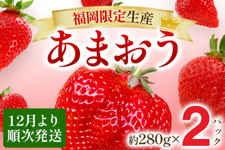【12月より順次発送】あまおう グランデサイズ以上 約560g（約280g×2パック） 苺 イチゴ いちご フルーツ 果物 ふるさと納税くだもの ブランド くだもの 福岡県産
