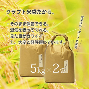 福岡県産「夢つくし」5kg×2袋 [10kg] [白米](吉富町)【1438510】