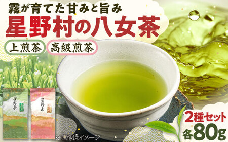 【2025年産】星野村の八女茶2本セット [BGAA017]八女茶