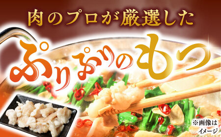 博多 醤油もつ鍋 10人前 [BGAB002] もつ鍋 大容量