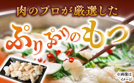 博多 味噌もつ鍋 10人前 [BGAB005] もつ鍋 大容量