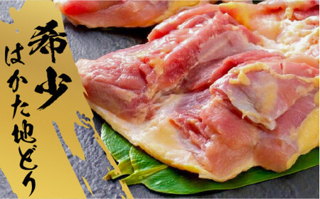 【福岡限定】はかた地どり 美人水炊き 2~3人前 [BGAB007] 水炊き