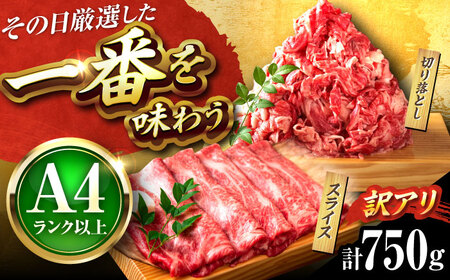 【訳あり】博多和牛 スライス&切り落とし750g [BGAB020]訳あり 牛肉