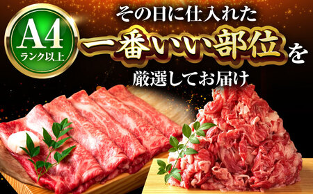 【訳あり】博多和牛 スライス&切り落とし750g [BGAB020]訳あり 牛肉
