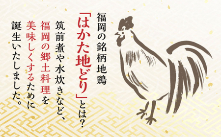 はかた地鶏炭火焼セット 100g×5P[BGAB028]地鶏
