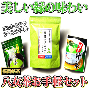 福岡銘茶八女茶 急須要らずのお手軽セット(便利なチャック付)[BGAC045] 八女茶