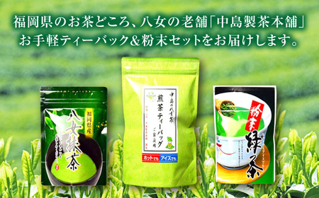 福岡銘茶八女茶 急須要らずのお手軽セット(便利なチャック付)[BGAC045] 八女茶
