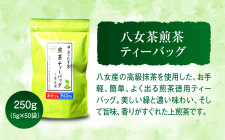 福岡銘茶八女茶 急須要らずのお手軽セット(便利なチャック付)[BGAC045] 八女茶