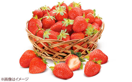 【化粧箱入】あまおう大福 50g×8個 [BGAE047] いちご大福 苺 スイーツ お菓子 手土産