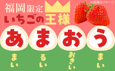 【化粧箱入】あまおう大福 50g×16個 [BGAE048] いちご大福 苺 スイーツ お菓子 手土産