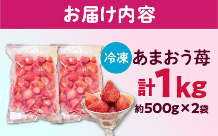 【2026年4月以降順次発送】冷凍あまおう苺1kg[BGAG001] strawberry あまおう いちご 果物