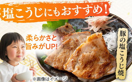 【明治42年創業】生こうじ400g×6個 [BGAU002] 生麹 生こうじ 生麹