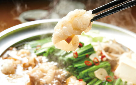 【全3回定期便】博多もつ鍋 あごだし醤油味 3-4人前[BGAH050]もつなべ定期便