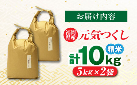 福岡県産 元気つくし 白米 10kg (5kg×2袋)[BGAF019]元気つくし