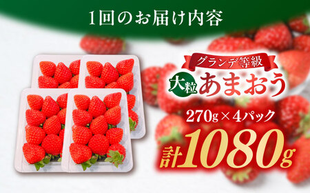 【全2回定期便】【2026年1月中旬より順次発送】 あまおう いちご 1080g[BGBQ003]