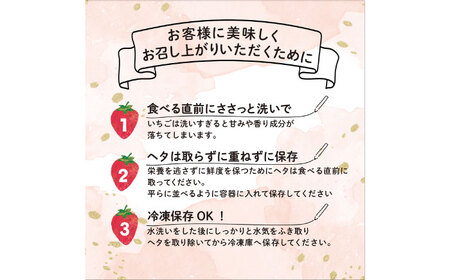 【全2回定期便】【2026年1月中旬より順次発送】 あまおう いちご 1080g[BGBQ003]