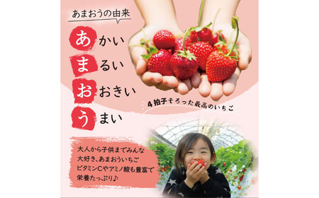 【先行予約】あまおう いちご 1620g[BGBQ002]旬のくだもの 果物 青果物 フルーツ