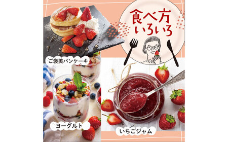 【先行予約】あまおう いちご 1620g[BGBQ002]旬のくだもの 果物 青果物 フルーツ